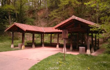 preauparcpinard_cr
